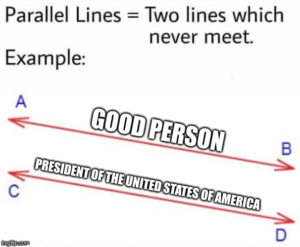 All US Presidents are imperialists | GOOD PERSON; PRESIDENT OF THE UNITED STATES OF AMERICA | image tagged in parallel lines,memes,united states,president,imperialism | made w/ Imgflip meme maker