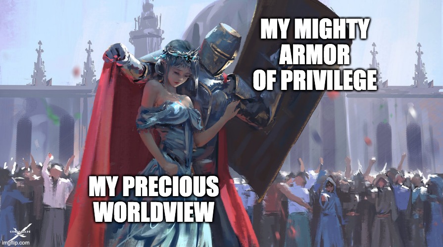 Knight Protecting Princess | MY MIGHTY ARMOR OF PRIVILEGE MY PRECIOUS WORLDVIEW | image tagged in knight protecting princess | made w/ Imgflip meme maker