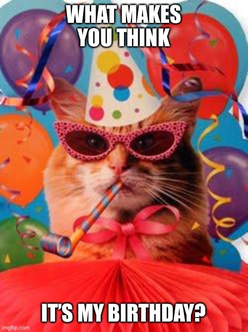 Cat Celebration! | WHAT MAKES YOU THINK; IT’S MY BIRTHDAY? | image tagged in cat celebration | made w/ Imgflip meme maker