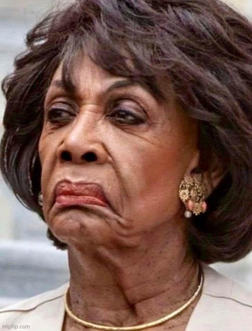 Maxine Waters | image tagged in maxine waters | made w/ Imgflip meme maker