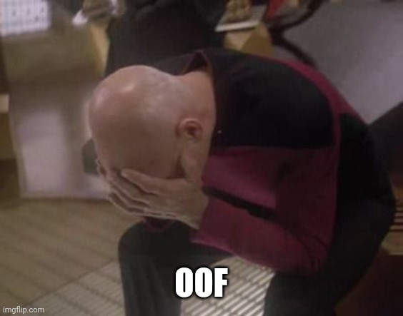 doubleface palm Picard | OOF | image tagged in doubleface palm picard | made w/ Imgflip meme maker