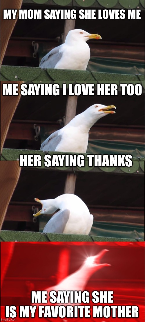 What | MY MOM SAYING SHE LOVES ME; ME SAYING I LOVE HER TOO; HER SAYING THANKS; ME SAYING SHE IS MY FAVORITE MOTHER | image tagged in memes,inhaling seagull | made w/ Imgflip meme maker