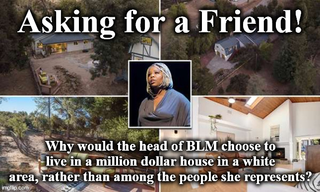 blm | Asking for a Friend! Why would the head of BLM choose to live in a million dollar house in a white area, rather than among the people she represents? | image tagged in blm | made w/ Imgflip meme maker