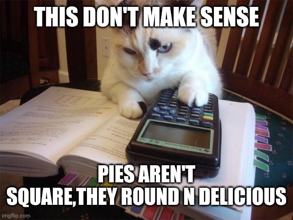 Math cat |  THIS DON'T MAKE SENSE; PIES AREN'T SQUARE,THEY ROUND N DELICIOUS | image tagged in math cat | made w/ Imgflip meme maker