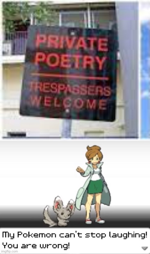 :() | image tagged in my pokemon can't stop laughing you are wrong | made w/ Imgflip meme maker