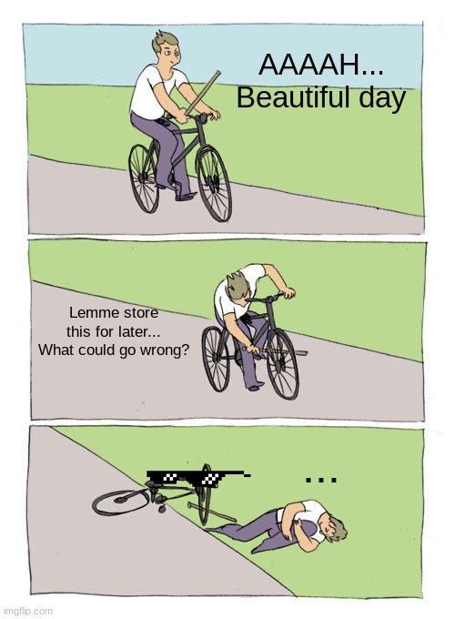 Boi... | AAAAH... Beautiful day; Lemme store this for later... What could go wrong? ... | image tagged in memes,bike fall | made w/ Imgflip meme maker