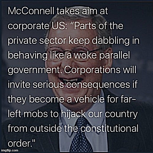 based 1 mitch, maga | image tagged in mitch mcconnell pissed,maga,corporations,corporate,left wing,leftist | made w/ Imgflip meme maker