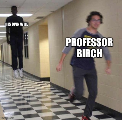 floating boy chasing running boy | HIS OWN WIFE; PROFESSOR BIRCH | image tagged in floating boy chasing running boy | made w/ Imgflip meme maker