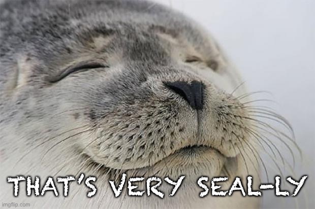 Satisfied Seal Meme | THAT’S VERY SEAL-LY | image tagged in memes,satisfied seal | made w/ Imgflip meme maker