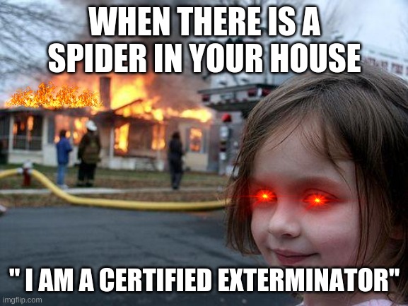 I am certified | WHEN THERE IS A SPIDER IN YOUR HOUSE; " I AM A CERTIFIED EXTERMINATOR" | image tagged in memes,disaster girl | made w/ Imgflip meme maker