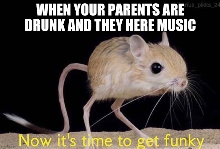 Now it’s time to get funky | WHEN YOUR PARENTS ARE DRUNK AND THEY HERE MUSIC | image tagged in now it s time to get funky | made w/ Imgflip meme maker