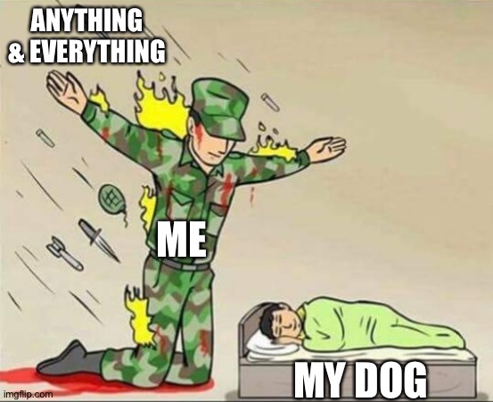 Soldier protecting sleeping child | ANYTHING & EVERYTHING; ME; MY DOG | image tagged in soldier protecting sleeping child | made w/ Imgflip meme maker