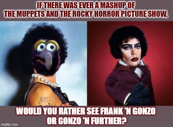 If there was ever a mashup of The Muppets and the Rocky Horror Picture Show, would you rather see Frank 'n Gonzo or Gonzo 'n Fur | IF THERE WAS EVER A MASHUP OF 
THE MUPPETS AND THE ROCKY HORROR PICTURE SHOW, WOULD YOU RATHER SEE FRANK 'N GONZO 
OR GONZO 'N FURTHER? | image tagged in the muppets,rocky horror picture show | made w/ Imgflip meme maker