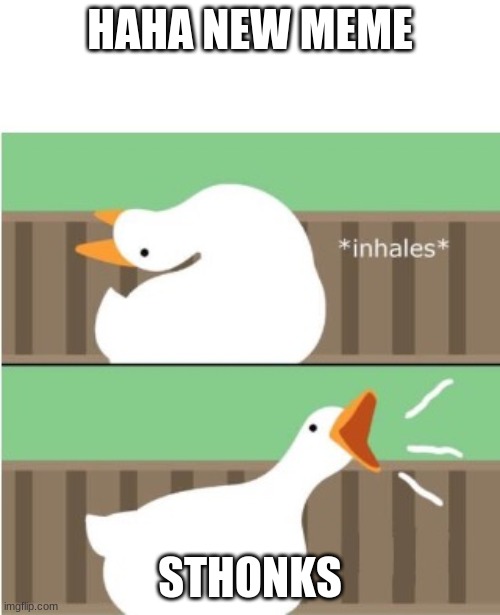 St honks | HAHA NEW MEME; STHONKS | image tagged in untitled goose game honk | made w/ Imgflip meme maker