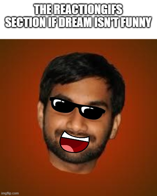 true story | THE REACTIONGIFS SECTION IF DREAM ISN'T FUNNY | image tagged in indian guy | made w/ Imgflip meme maker