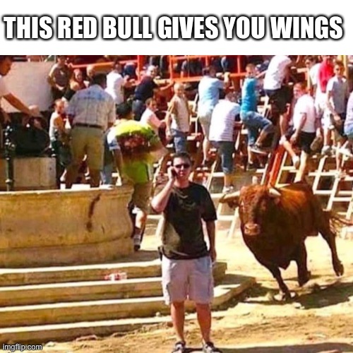 Red Bull gives you WINGS | THIS RED BULL GIVES YOU WINGS | image tagged in red bull | made w/ Imgflip meme maker