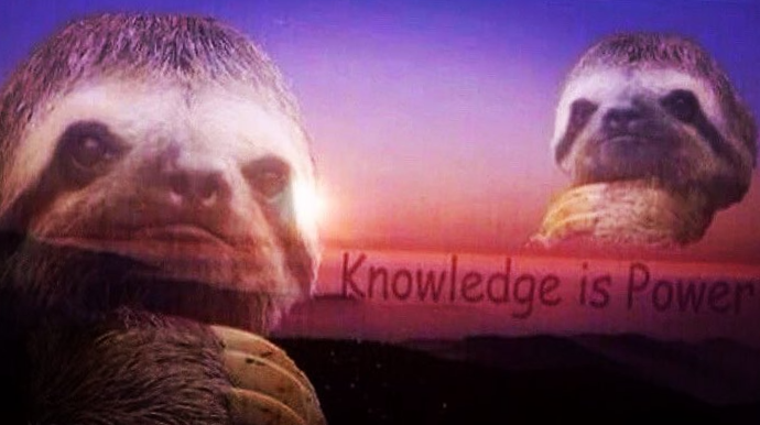 Sloth knowledge is power tilted Blank Meme Template
