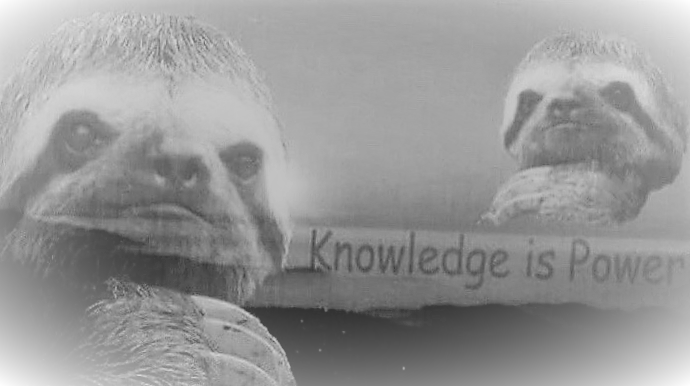 Sloth knowledge is power black & white Blank Meme Template