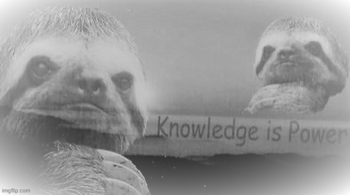 Sloth Knowledge is Power, black & white | image tagged in sloth knowledge is power black white,sloth,whisper sloth,sloths,knowledge is power,black and white | made w/ Imgflip meme maker