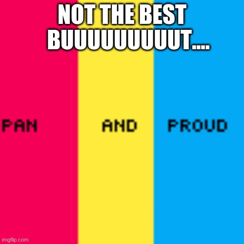 Pan And Proud | NOT THE BEST    BUUUUUUUUUT.... | image tagged in pan and proud | made w/ Imgflip meme maker