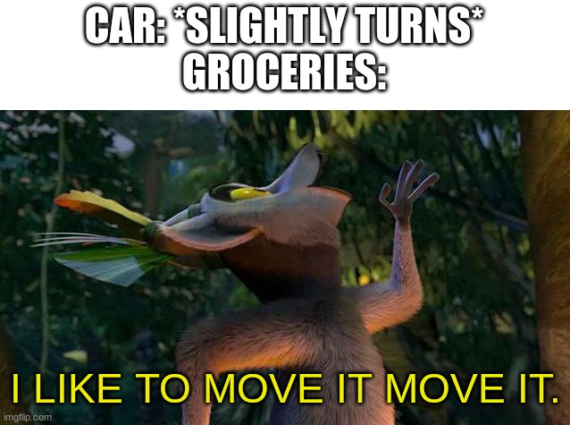 I Like to move it move it | CAR: *SLIGHTLY TURNS*
GROCERIES:; I LIKE TO MOVE IT MOVE IT. | image tagged in i like to move it move it | made w/ Imgflip meme maker