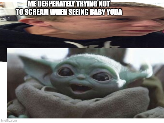 *Screams | ME DESPERATELY TRYING NOT TO SCREAM WHEN SEEING BABY YODA | image tagged in scream,meme,memes,baby yoda | made w/ Imgflip meme maker