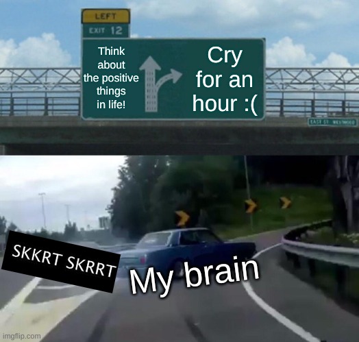 Left Exit 12 Off Ramp Meme | Think about the positive things in life! Cry for an hour :(; My brain | image tagged in memes,left exit 12 off ramp | made w/ Imgflip meme maker