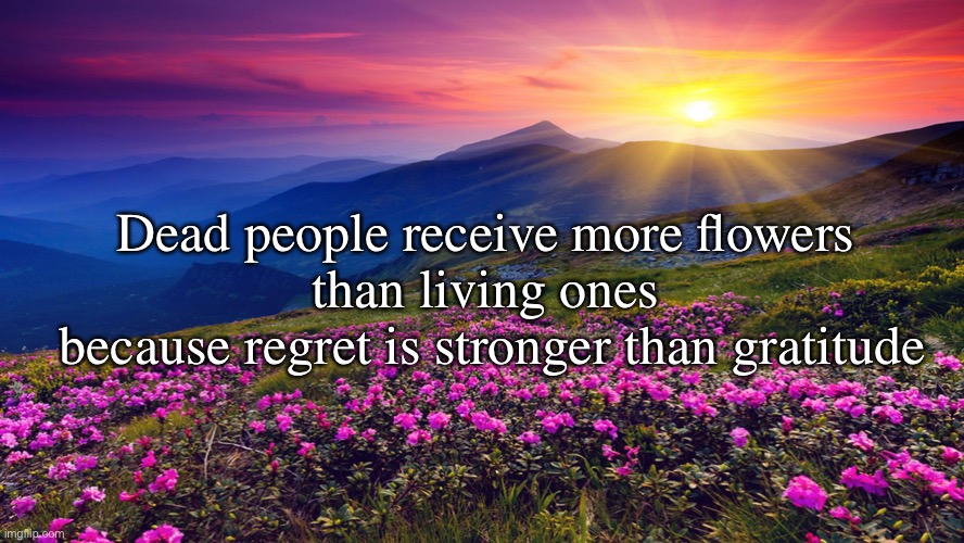 Deep Quotes (Part 2) | Dead people receive more flowers 
than living ones 
because regret is stronger than gratitude | image tagged in flowers,quotes,deep,deep quotes | made w/ Imgflip meme maker