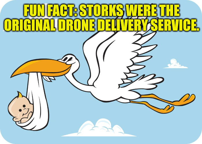 OG Drone Delivery | FUN FACT: STORKS WERE THE ORIGINAL DRONE DELIVERY SERVICE. | image tagged in storks,baby | made w/ Imgflip meme maker