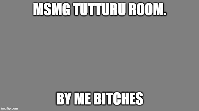 https://tutturu.tv/i/xe7FUMFs | MSMG TUTTURU ROOM. BY ME BITCHES | image tagged in blank grey | made w/ Imgflip meme maker