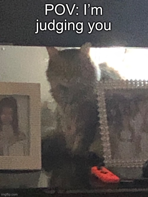 POV: I’m judging you | made w/ Imgflip meme maker