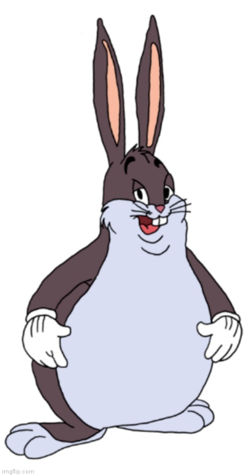 Big Chungus | image tagged in big chungus | made w/ Imgflip meme maker