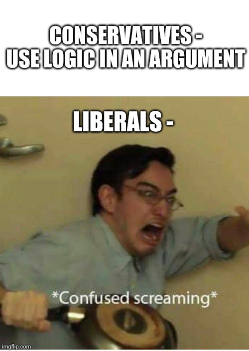 confused screaming | CONSERVATIVES - USE LOGIC IN AN ARGUMENT; LIBERALS - | image tagged in confused screaming | made w/ Imgflip meme maker