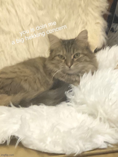 you is doin me a big hekking concern | made w/ Imgflip meme maker