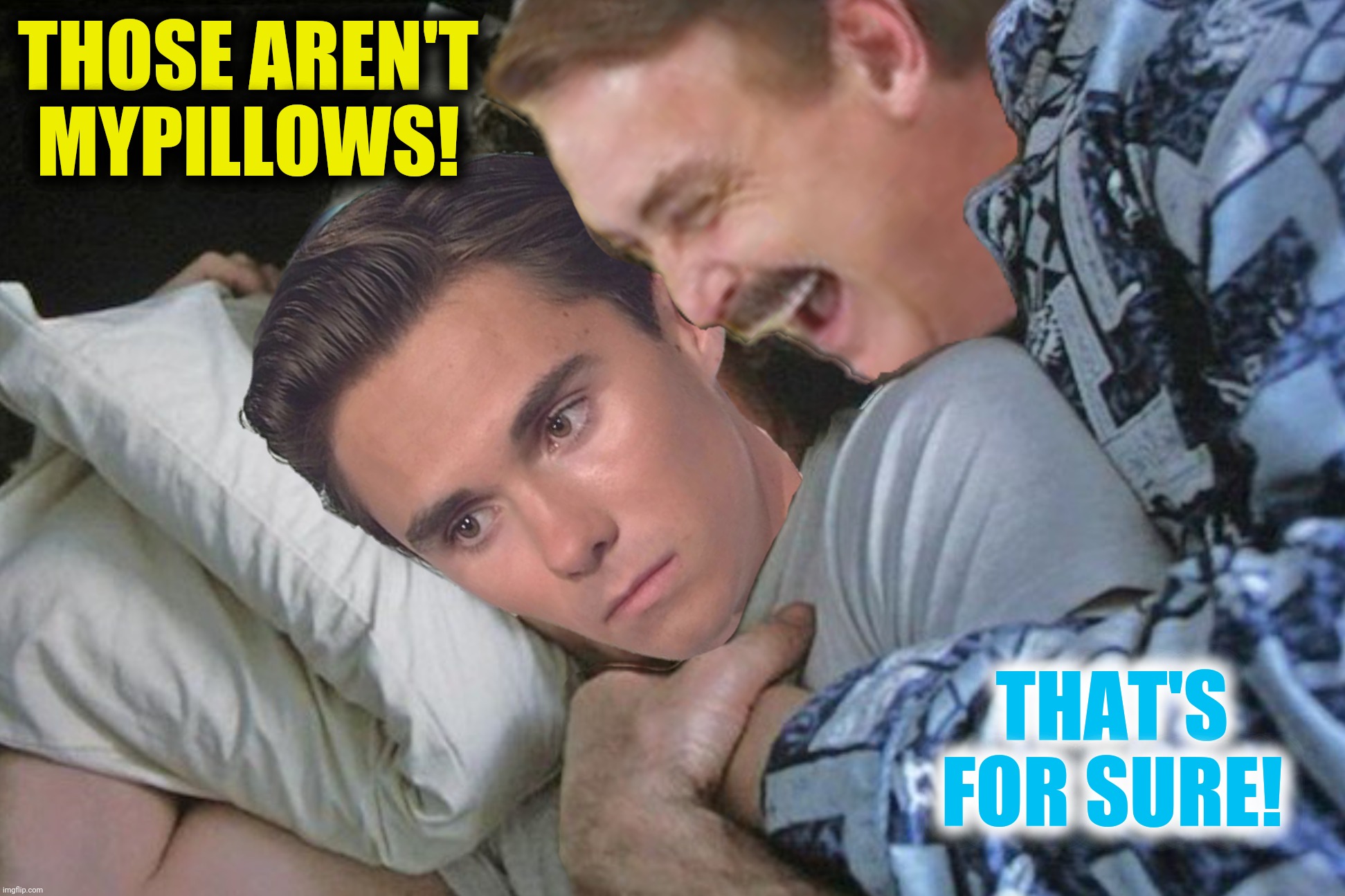 Pillow Talk | THOSE AREN'T MYPILLOWS! THAT'S FOR SURE! | image tagged in mike lindell,david hogg,planes trains and automobiles,mypillow | made w/ Imgflip meme maker