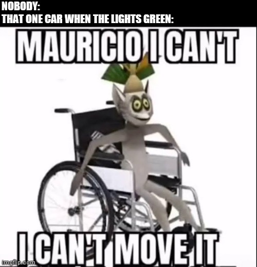 NOBODY:
THAT ONE CAR WHEN THE LIGHTS GREEN: | made w/ Imgflip meme maker