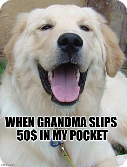 When Grandma Slips 50$ In Your Pocket   :) | WHEN GRANDMA SLIPS 
50$ IN MY POCKET | image tagged in funny memes | made w/ Imgflip meme maker