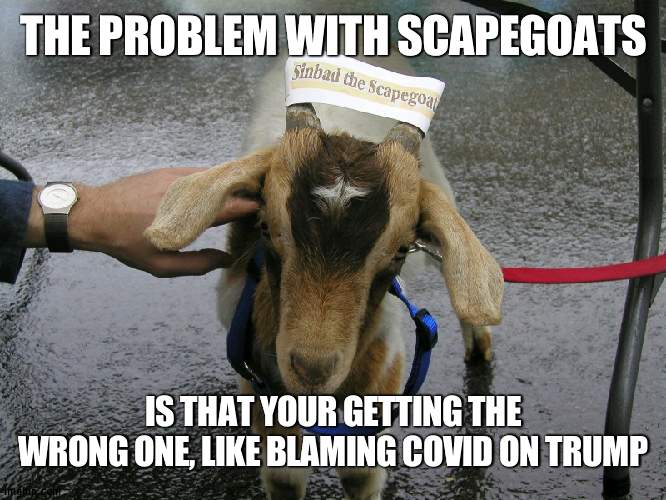 "Banning travel from China racist" | THE PROBLEM WITH SCAPEGOATS; IS THAT YOUR GETTING THE WRONG ONE, LIKE BLAMING COVID ON TRUMP | image tagged in sinbad the scapegoat,democrat | made w/ Imgflip meme maker