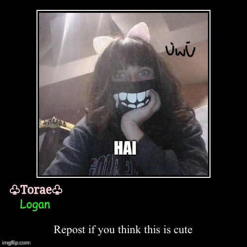 Okay, Torae please don't kill me. | Logan | image tagged in just my honest opinion,torae your cuter though,no offense star | made w/ Imgflip meme maker