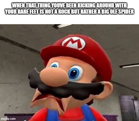 here a we go Again! | WHEN THAT THING YOUVE BEEN KICKING AROUND WITH YOUR BARE FEET IS NOT A ROCK BUT RATHER A BIG OLE SPIDER | image tagged in mario,spider | made w/ Imgflip meme maker
