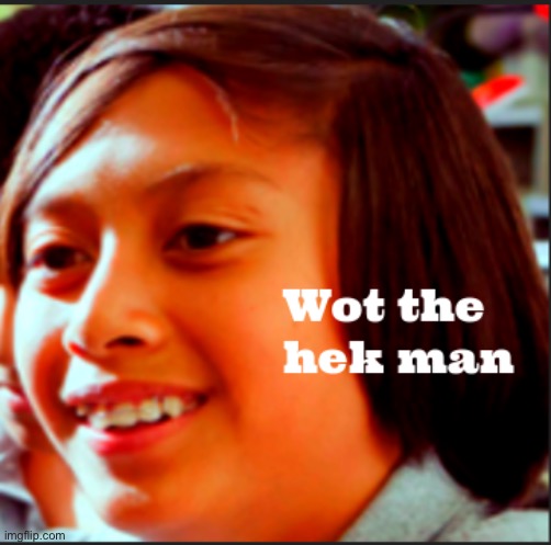 Wot? | image tagged in wot the hek man | made w/ Imgflip meme maker