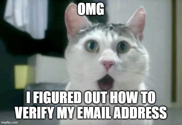 yay | OMG; I FIGURED OUT HOW TO VERIFY MY EMAIL ADDRESS | image tagged in memes,omg cat | made w/ Imgflip meme maker