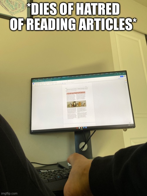 *DIES OF HATRED OF READING ARTICLES* | made w/ Imgflip meme maker