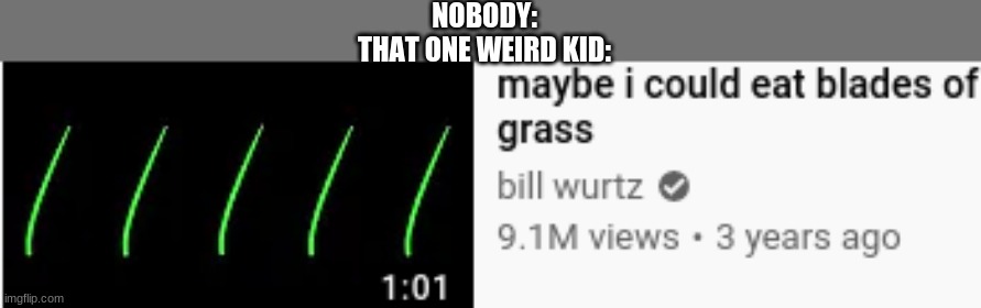 NOBODY:
THAT ONE WEIRD KID: | image tagged in memes | made w/ Imgflip meme maker