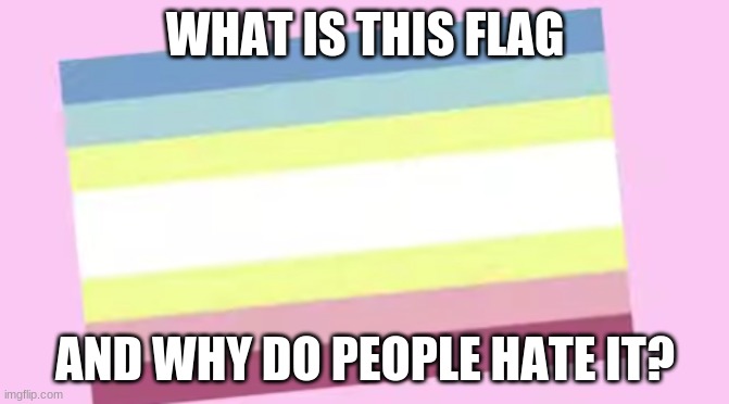 ??? | WHAT IS THIS FLAG; AND WHY DO PEOPLE HATE IT? | image tagged in lgbtq | made w/ Imgflip meme maker