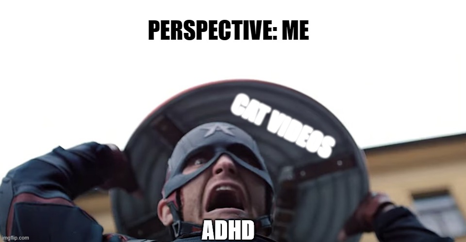 PERSPECTIVE: ME; CAT VIDEOS; ADHD | image tagged in memes | made w/ Imgflip meme maker