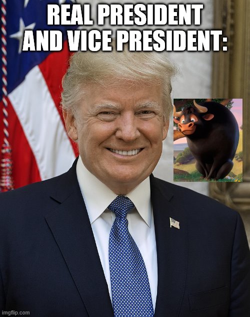 Trump | REAL PRESIDENT AND VICE PRESIDENT: | image tagged in trump | made w/ Imgflip meme maker