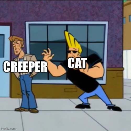 Minecrafting be like | CAT; CREEPER | image tagged in wait don t go,creeper,minecraft | made w/ Imgflip meme maker
