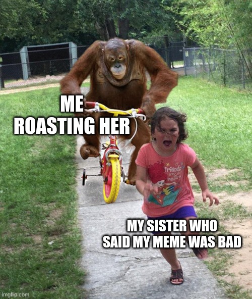 lol | ME ROASTING HER; MY SISTER WHO SAID MY MEME WAS BAD | image tagged in orangutan chasing girl on a tricycle,msmg,memes | made w/ Imgflip meme maker