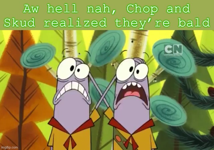 Aw hell nah, Chop and Skud realized they’re bald | image tagged in aw hell nah,spunch bob,camp lazlo,chip and skip,memes | made w/ Imgflip meme maker